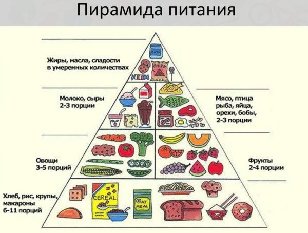 Схема пирамиды здорового питания