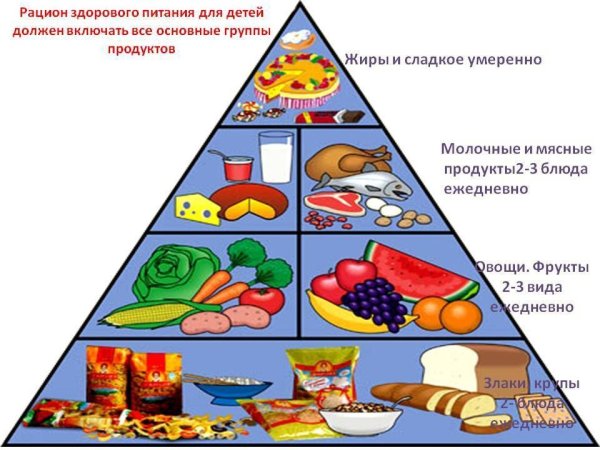 Пищевая пирамида питания здорового питания для детей