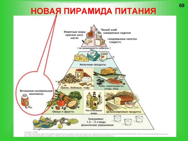 Гарвардская пирамида правильного питания