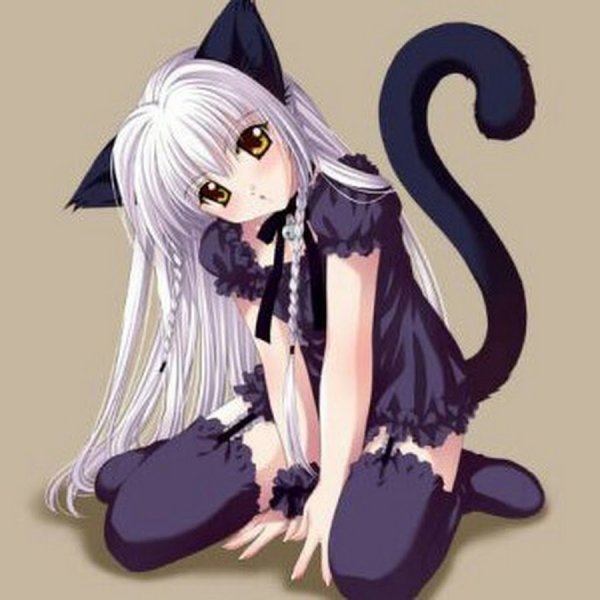 3 Анимешки девочки кошечки