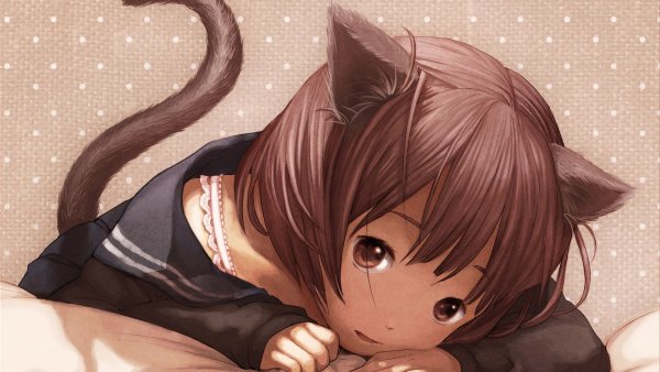 Аниме nekomimi animal Ears персонажи
