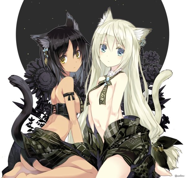Кошкодевочки Фэйт