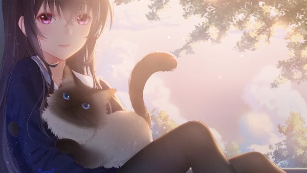 Аниме девушки кошки