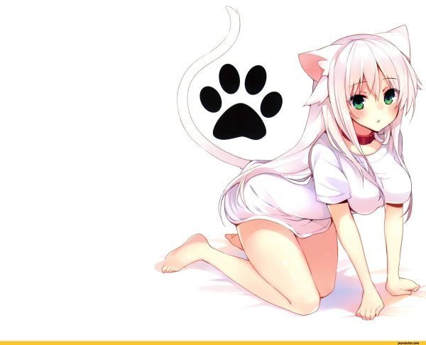 Аниме кошка