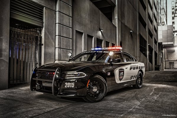 Dodge Charger Pursuit полиция
