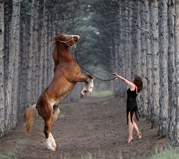 Фотосессия с лошадью на дыбах
