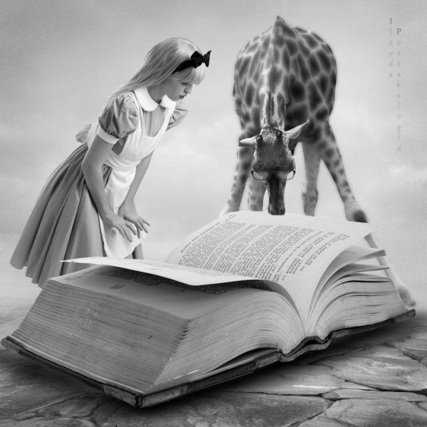Книжный сюрреализм