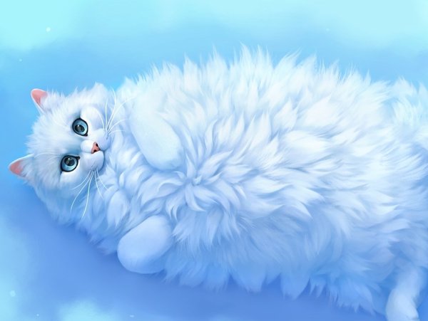 Белый кот арт