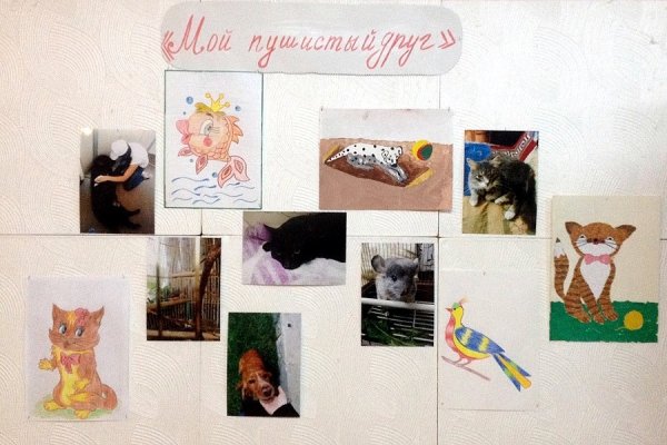 Мой пушистый друг рисование