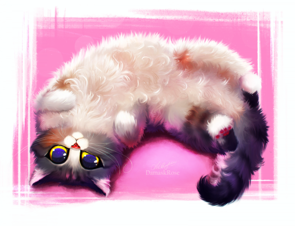 Котики арт
