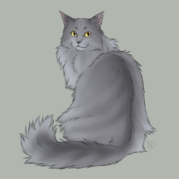 Коты Воители Крутобок