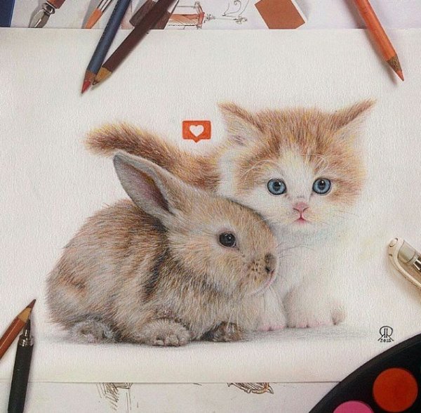 Зайка и котенок