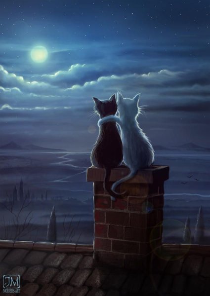 Кот на крыше