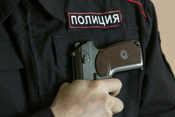 Полиция в окне