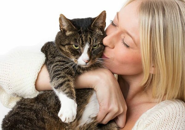 Кот обнимает