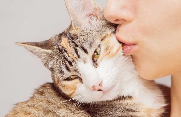 Девочка целует кота