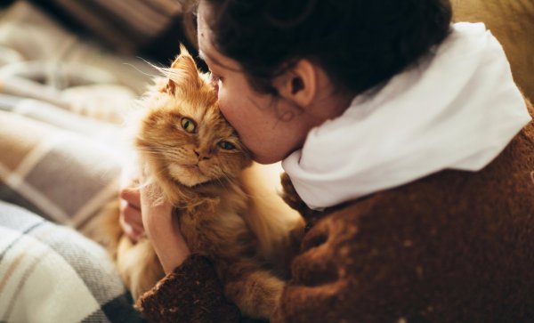 Кот обнимает