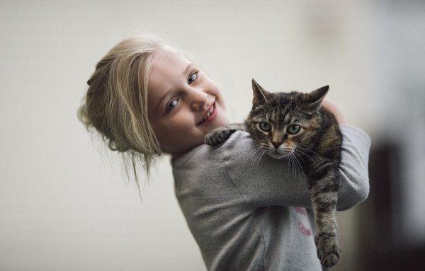 Девочка с котом на руках