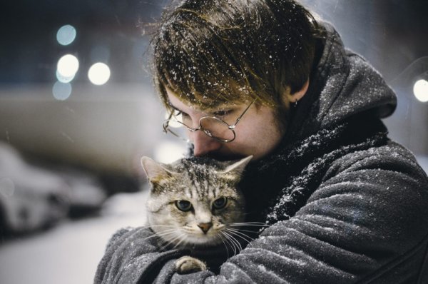 Мужчина обнимает кота