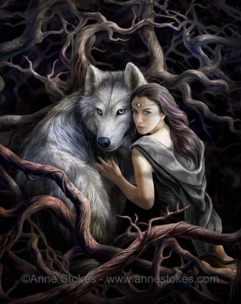 Anne Stokes волк
