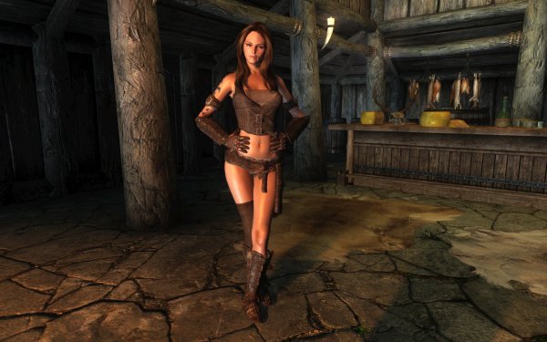 The Elder Scrolls 5 девушки компаньоны