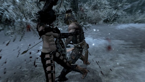 Skyrim убийца