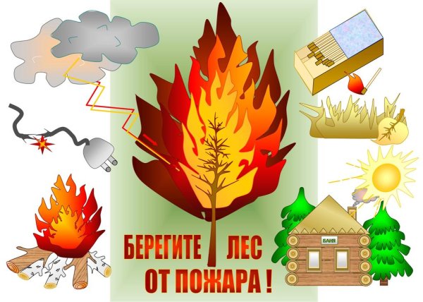 Пожар в лесу картинки для детей