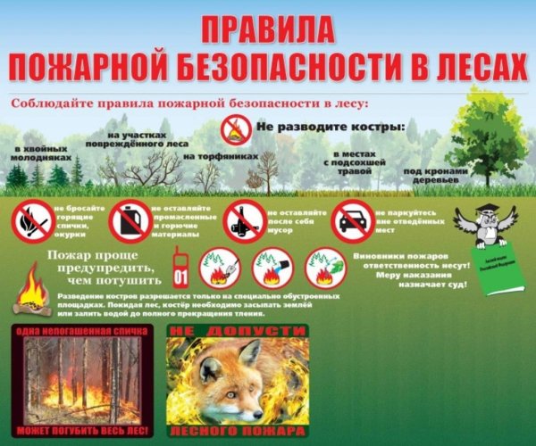 Правила пожарной безопасности в лесу