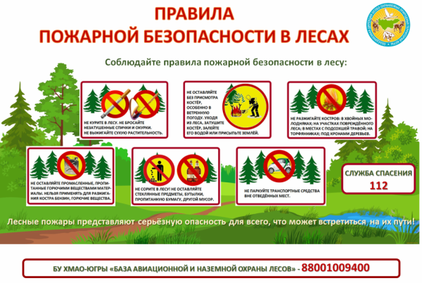 Пожарная безопасность в лесу