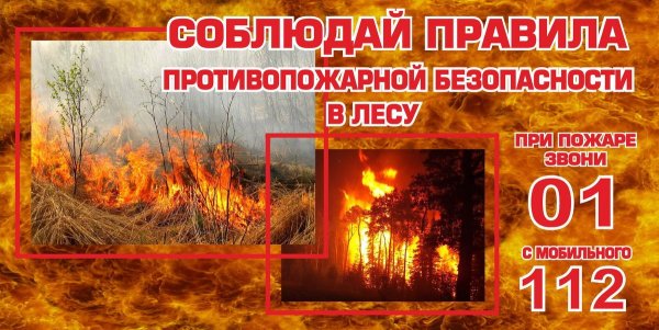 Пожарная безопасность в лесу