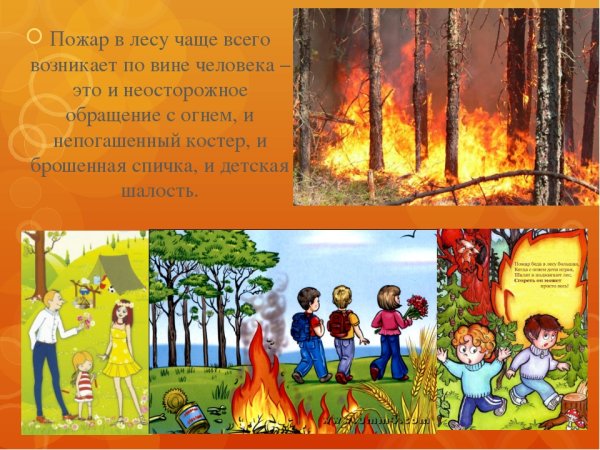 Пожарная безопасность в лесу для детей