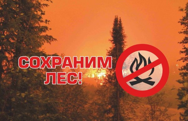 Сохраним лес от пожара