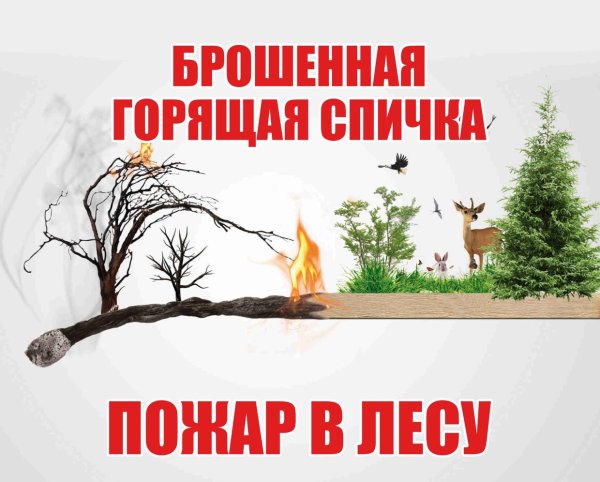Пожарная безопасность в лесу