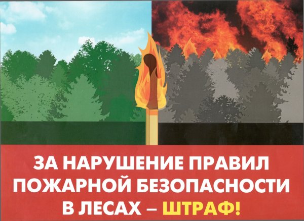 Нарушение правил пожарной безопасности в лесах