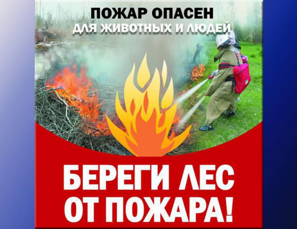 Соблюдение правил пожарной безопасности в лесу