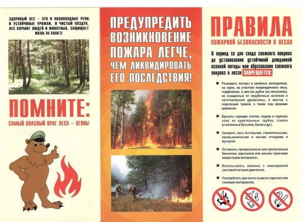 Пожарная безопасность памятка Лесные пожары