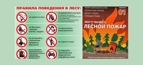 Памятка пожар в лесу