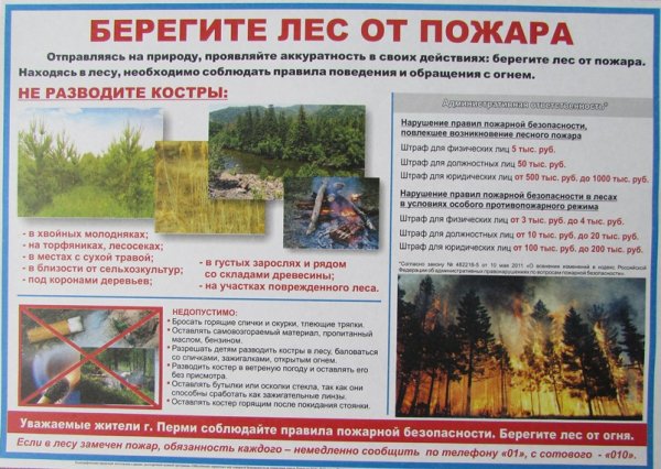 Противопожарные стенды в лесу