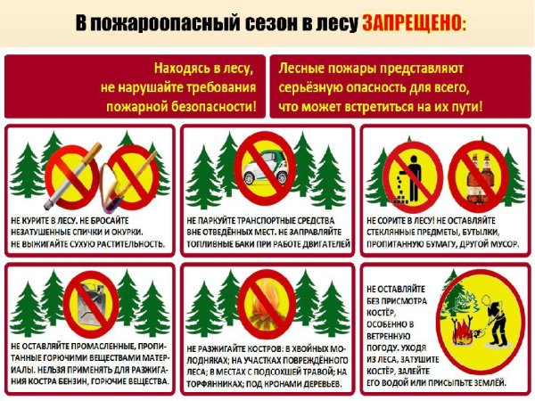 Памятка по пожарной безопасности в лесу