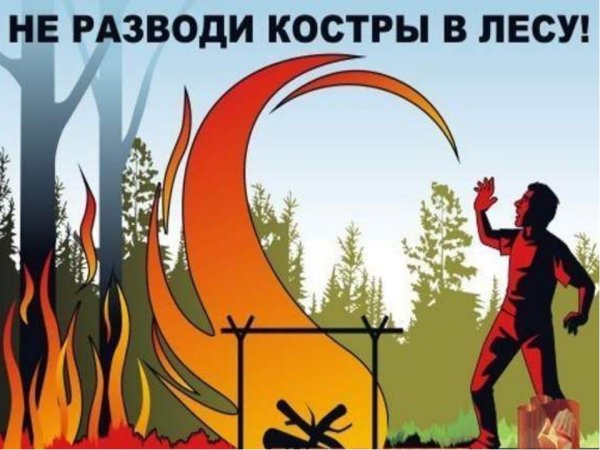 Не разводить костер в лесу