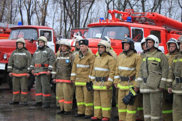 ГПС МЧС России (пожарная охрана)