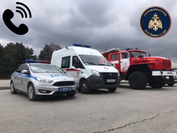 Пожарная полиция
