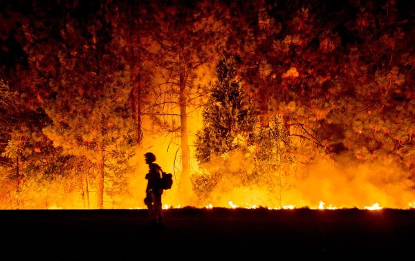 Картинки пожарные в лесу (49 фото)