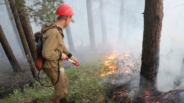 Борьба с лесными пожарами
