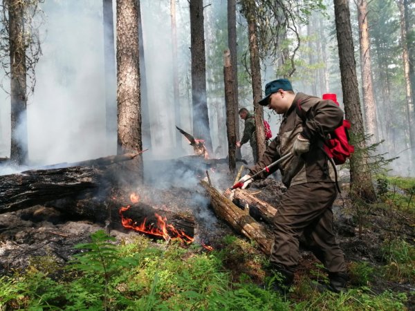 Денежкин камень заповедник пожар