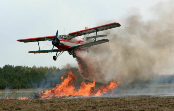 АН-2п пожарный самолет