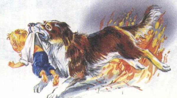 Л Н толстой пожарные собаки