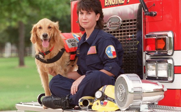Картинки пожарные собаки (49 фото)