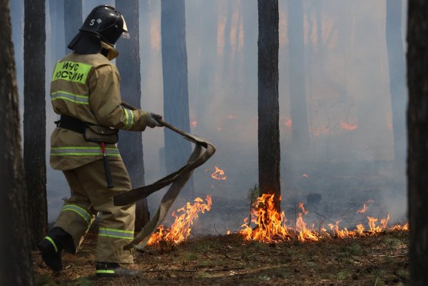 Картинки пожарный тушит пожар в лесу (47 фото)