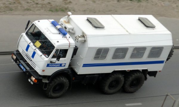 КАМАЗ 43114 полиция